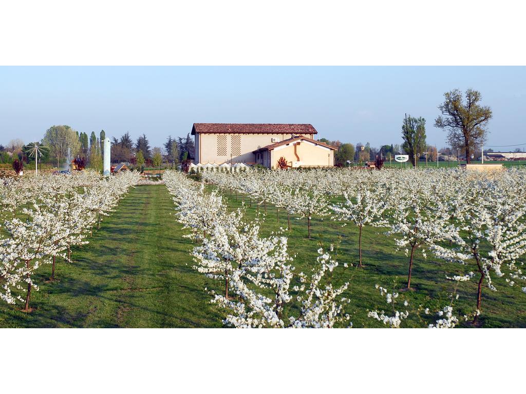Hotel Del Rio Srl - Ristorante E Azienda Agricola Casinalbo Zewnętrze zdjęcie